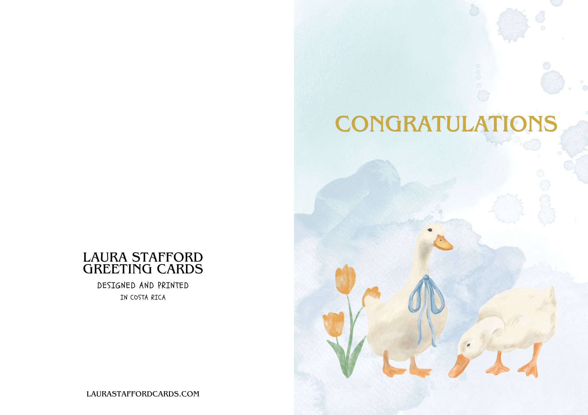 Congratulations — Ducklings